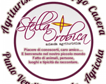 Logo Rifugio Stella Orobica