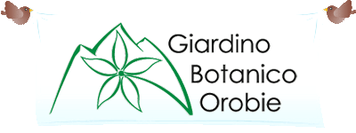 Logo Giardino Botanico Orobie