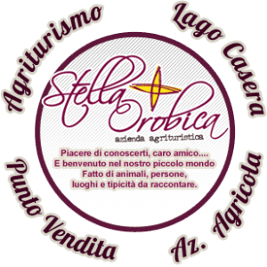Logo Rifugio Stella Orobica