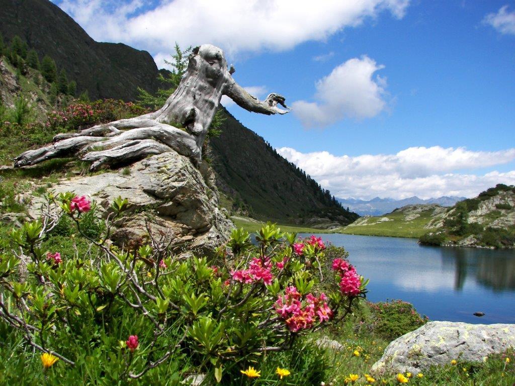 Scorcio del Lago Nero Val Belviso