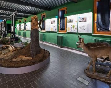 Ecomuseo della Valle Del Bitto di Albaredo