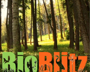 Bioblitz 2023 - eventi
