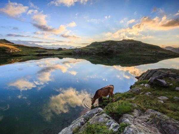 PAGA-LO: Incontri di informazione sul Progetto 