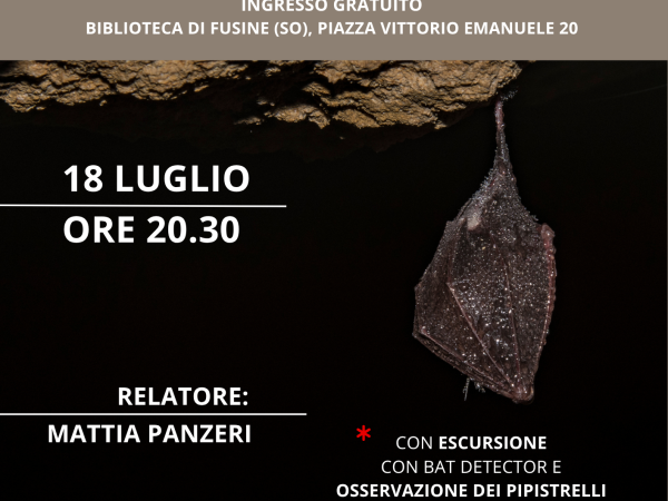 pipistrelli
