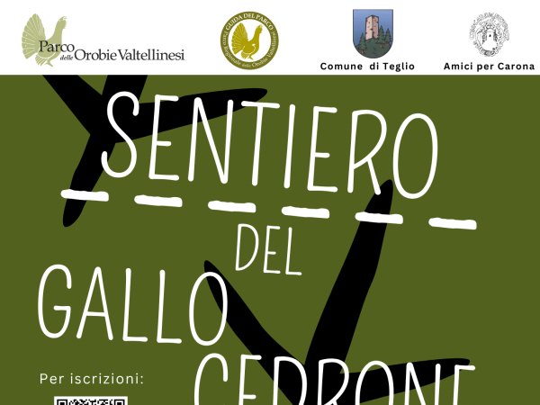 locandina val caronella gallo