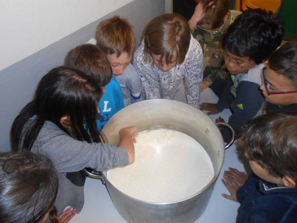 laboratorio del formaggio
